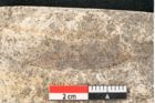 Foto (Detailansicht) von Cinnamomum lanceolatum Unger (NHMW-GEO-2024-0188-8129)